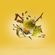 erba-gold-50--2-