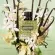 perfume-valentino-born-in-roma-green-donna-feminino-eau-de-parfum--4-.jpg.webp