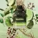 perfume-valentino-born-in-roma-green-uomo-masculino-eau-de-toilette--5-.jpg.webp