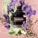 perfume-valentino-born-in-roma-uomo-masculino-eau-de-tolitte--6-.jpg.webp